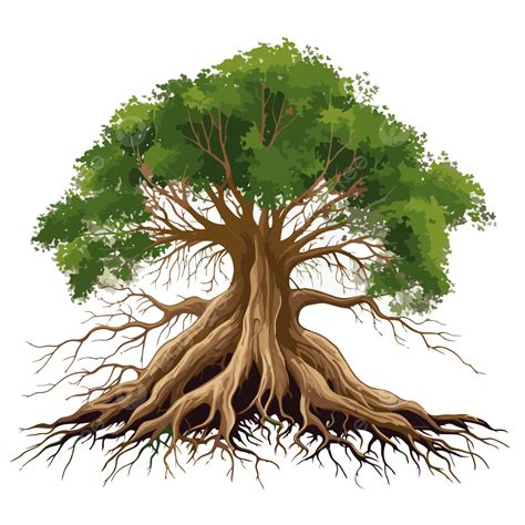 May 2026 - Teen Quest Newsletter